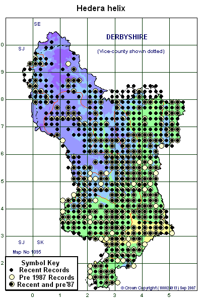 2 kilometre map image